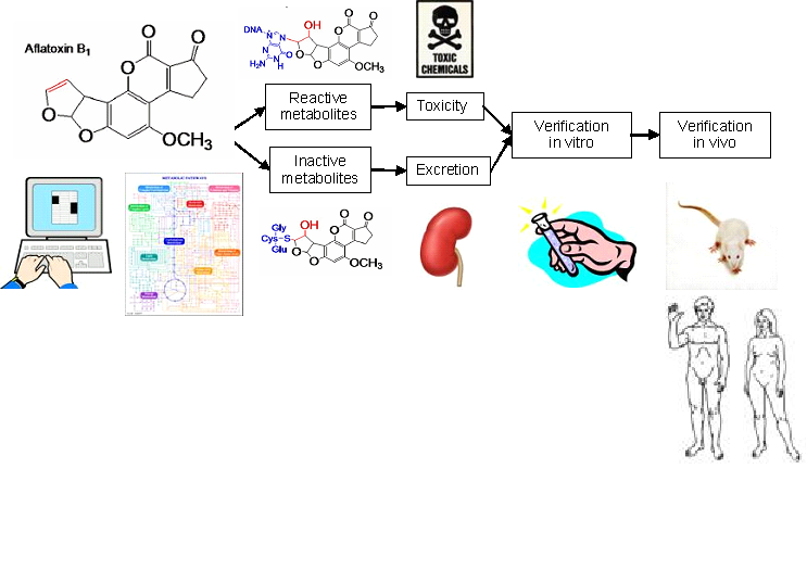 【xenobiotics】什么意思_英语xenobiotics的翻译_音标_读音_用法_例句_在线翻译_有道词典