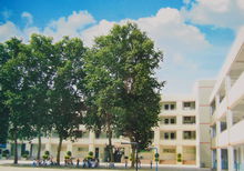 金水区纬一路小学 金水区纬一路小学