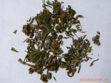 药用荨麻根 药用荨麻根