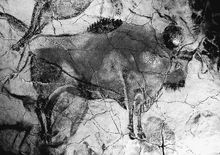 阿尔塔米拉洞窟中的岩画野牛