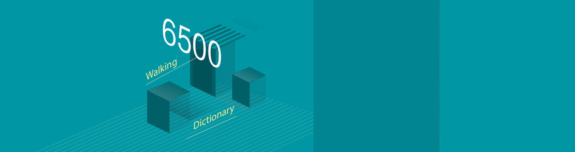 词汇大爆炸，小白变身词霸（六级词汇攻略）