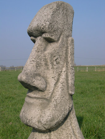 stone head